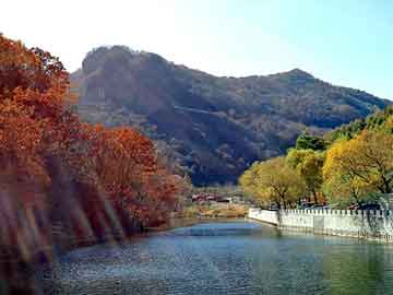 新澳天天开奖资料大全旅游团，铝单板瑞榈牌